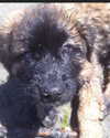 keira.daniella Altpins Profile Picture
