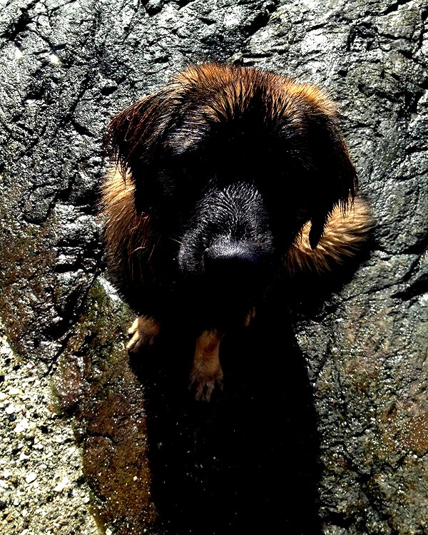 keira.daniella instagram image archive image