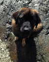 keira.daniella Altpins Profile Picture