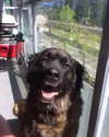keira.daniella Altpins Profile Picture