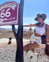 kellybaby_yy Altpins Profile Picture