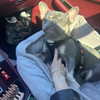 kenziee.scott Altpins Profile Picture