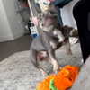 kenziee.scott Altpins Profile Picture