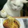 keren_waisman Altpins Profile Picture