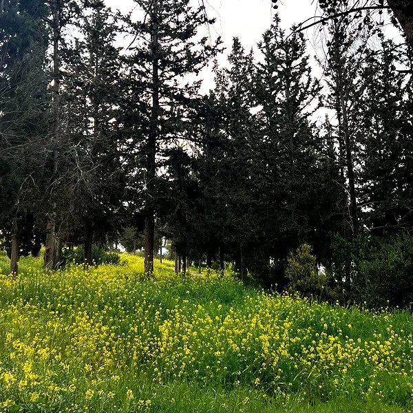 kernyz instagram image archive image