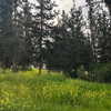 kernyz Altpins Profile Picture