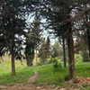 kernyz Altpins Profile Picture