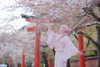 kim_elflina Altpins Profile Picture