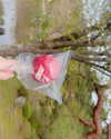 kim_elflina Altpins Profile Picture