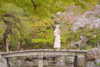 kim_elflina Altpins Profile Picture