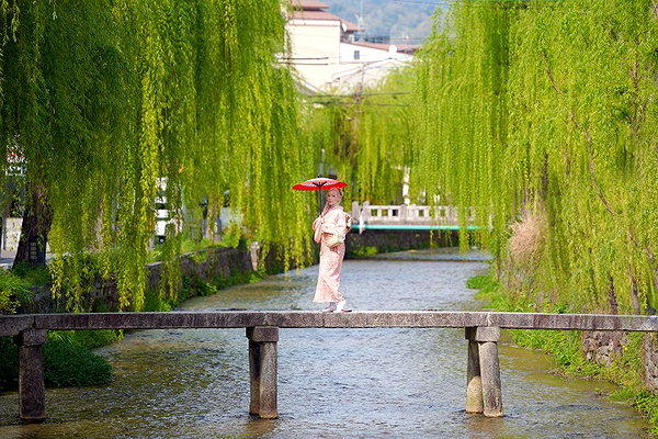kim_elflina kim_elflina archive image