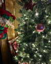 kimberlyy.lynnn Altpins Profile Picture