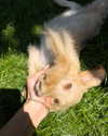kimberlyy.lynnn Altpins Profile Picture