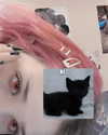 kkimynomi Altpins Profile Picture