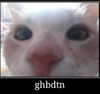 kkimynomi Altpins Profile Picture