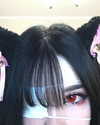 kkimynomi Altpins Profile Picture