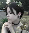 kkimynomi Altpins Profile Picture