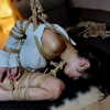 knoty_cat Altpins Profile Picture