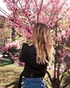 ksenia_ulitina Altpins Profile Picture