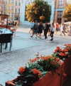 ksenia_ulitina Altpins Profile Picture