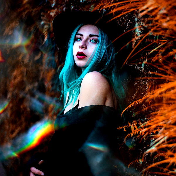 kurohabh instagram image archive image