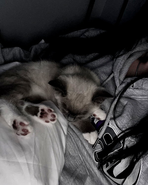 kyubwy instagram image archive image