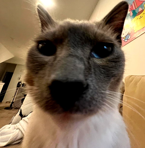 kyubwy instagram image archive image