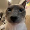 kyubwy Altpins Profile Picture