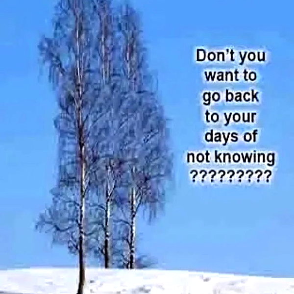l1ttle.str4wb3rr1es l1ttle.str4wb3rr1es archive image