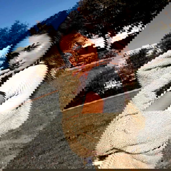 laluzone laluzone archive image