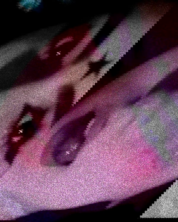 laluzone laluzone archive image