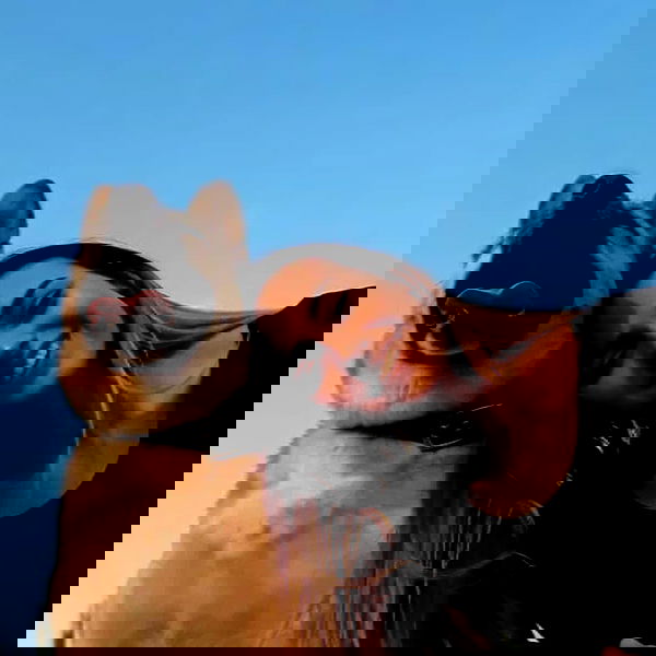 laluzone laluzone archive image