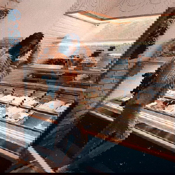 laluzone laluzone archive image