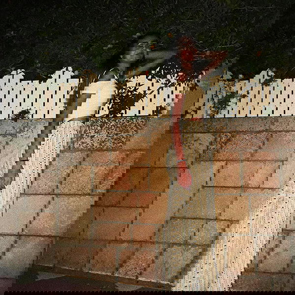 laluzone laluzone archive image