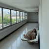 lapahappa1 Altpins Profile Picture