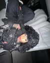 lapahappa1 Altpins Profile Picture