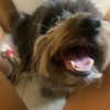 lauraurruu Altpins Profile Picture