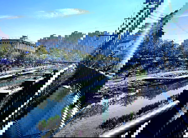 laurinchhhe image ~ Altpins