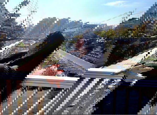 laurinchhhe image ~ Altpins