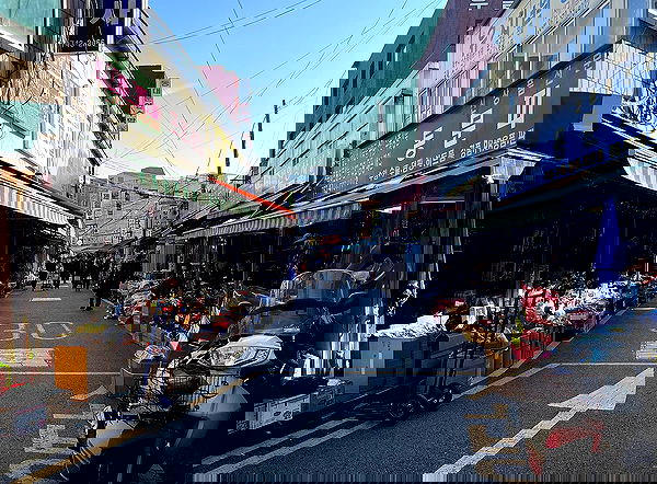 laurinchhhe image ~ Altpins