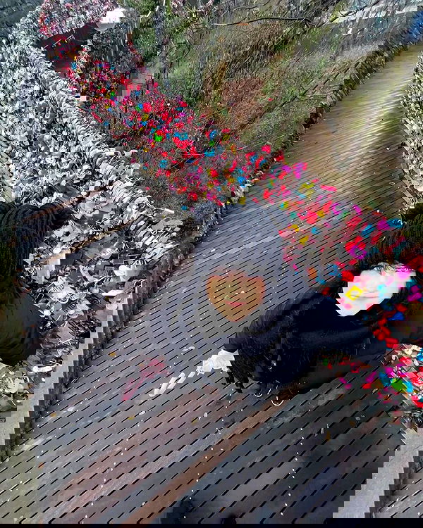 laurinchhhe image ~ Altpins