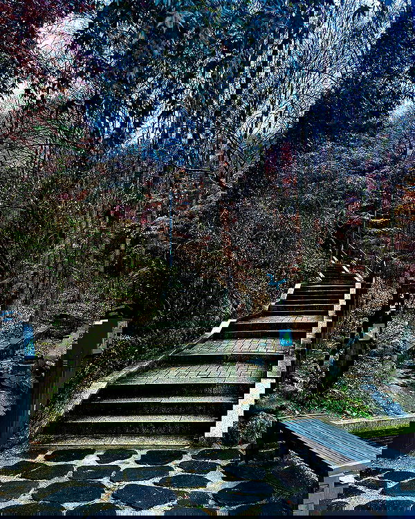 laurinchhhe image ~ Altpins