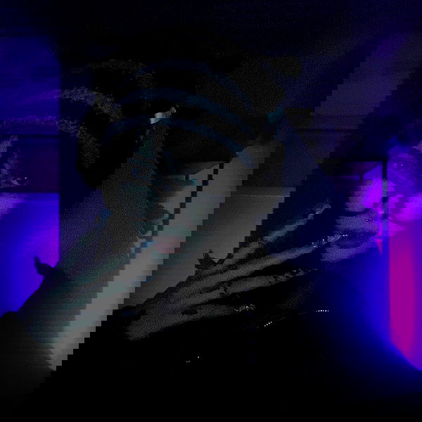 laurinchhhe image ~ Altpins