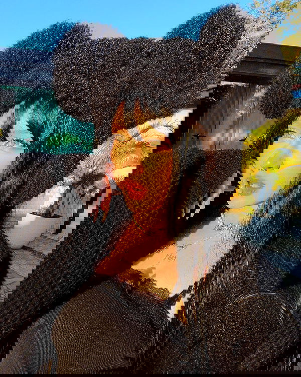 laurinchhhe image ~ Altpins