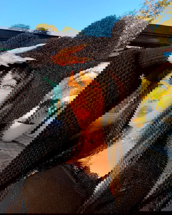 laurinchhhe image ~ Altpins