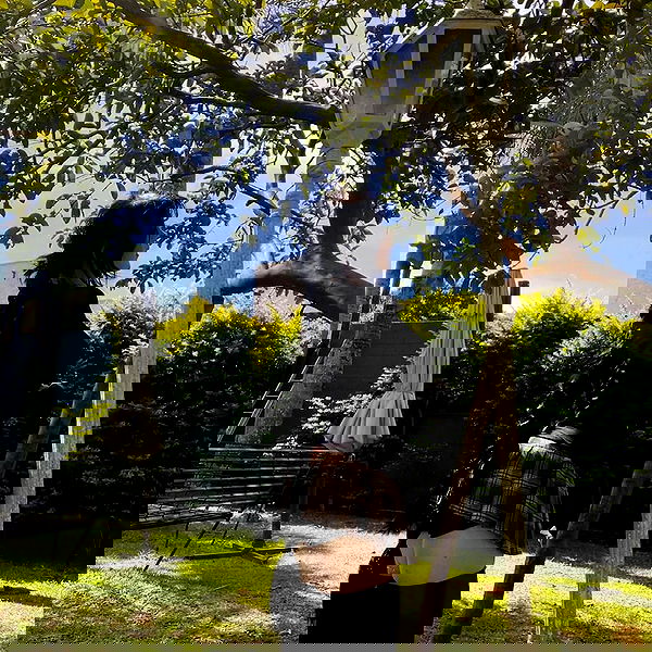 laurinchhhe image ~ Altpins