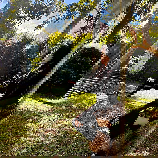 laurinchhhe image ~ Altpins