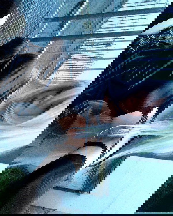 laurinchhhe image ~ Altpins