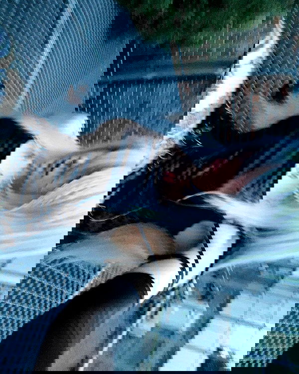 laurinchhhe image ~ Altpins