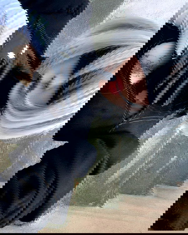 laurinchhhe image ~ Altpins